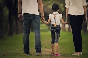 Palatine divorce parenting attorney